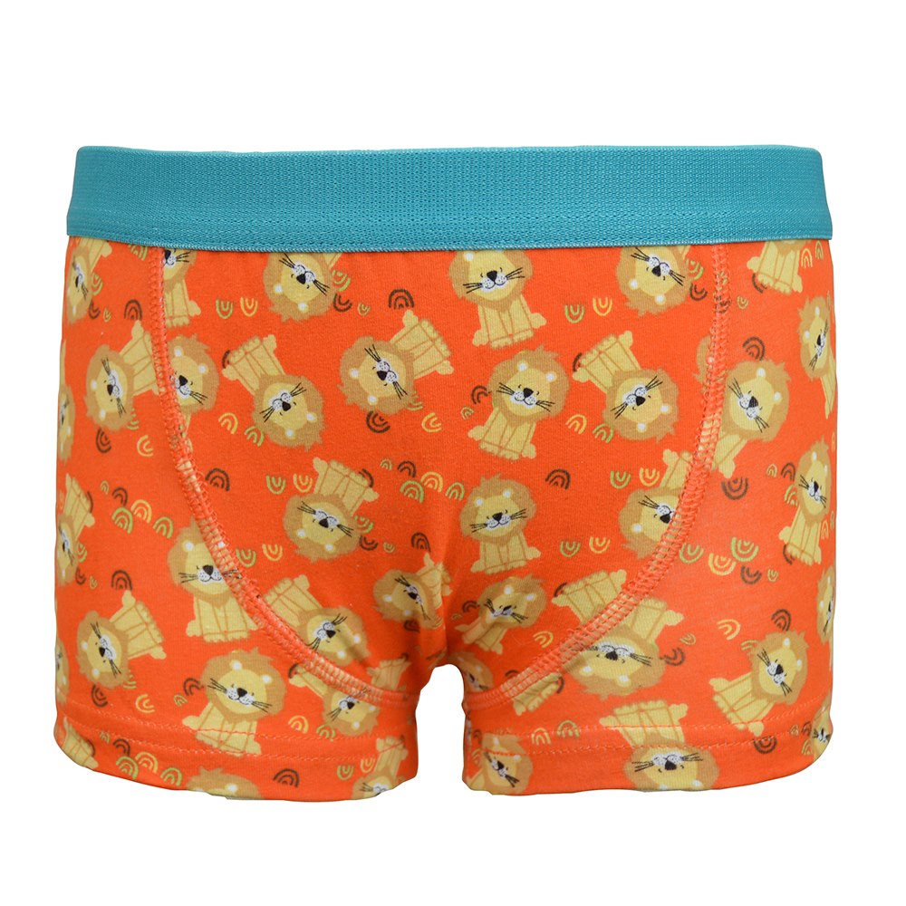 Boys Brief