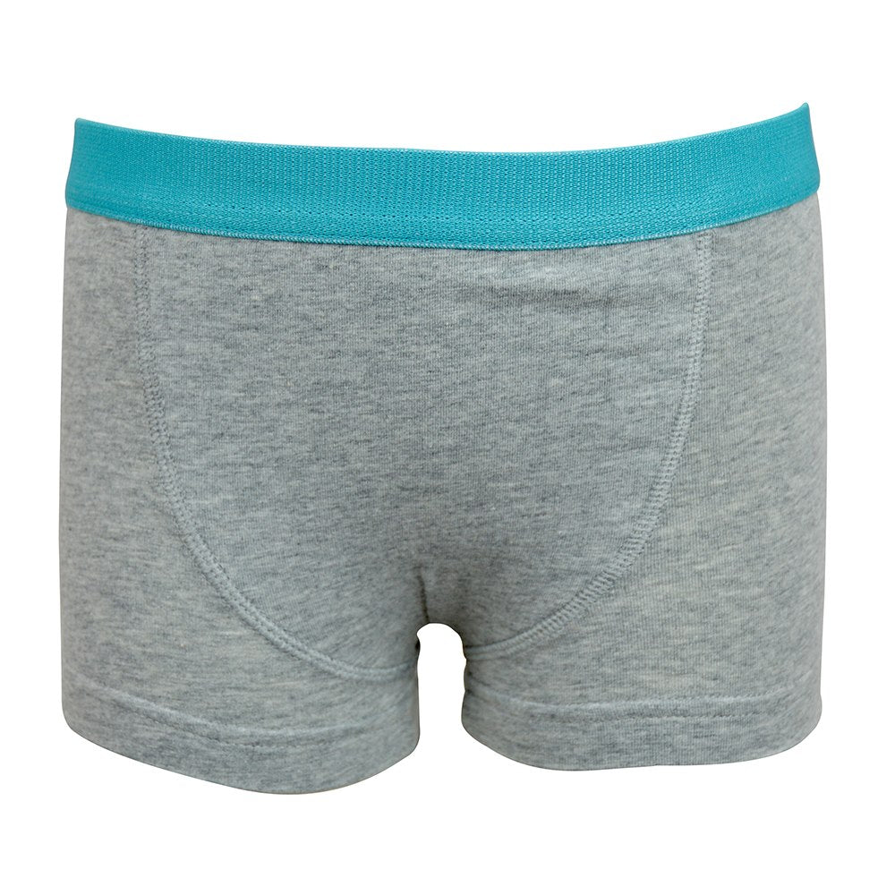 Boys Brief