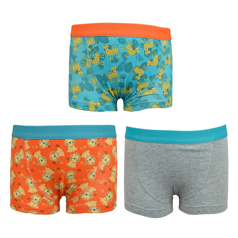 Boys Brief