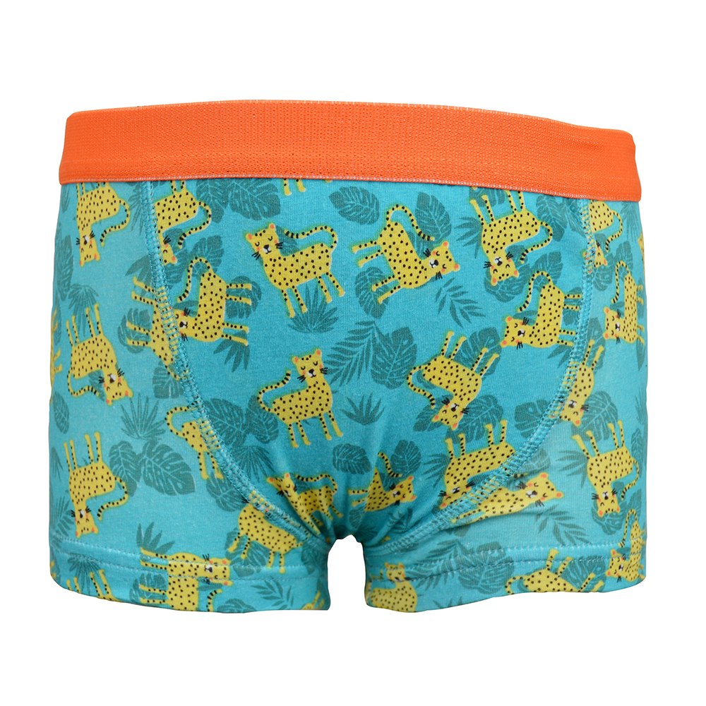 Boys Brief 